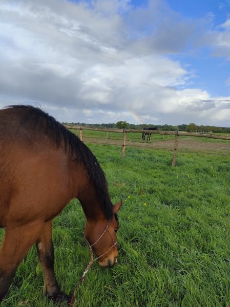 Ecurie des Vanneaux - photo 1
