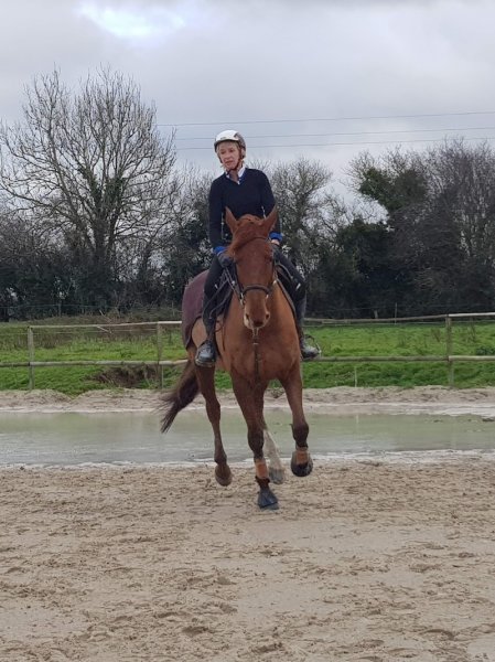 Ecurie Des Freneaux - photo 1