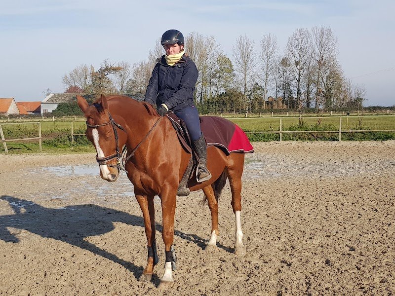 Ecurie Des Freneaux - photo 2