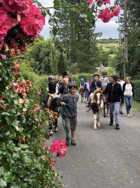 Ecurie Des Freneaux - photo 3