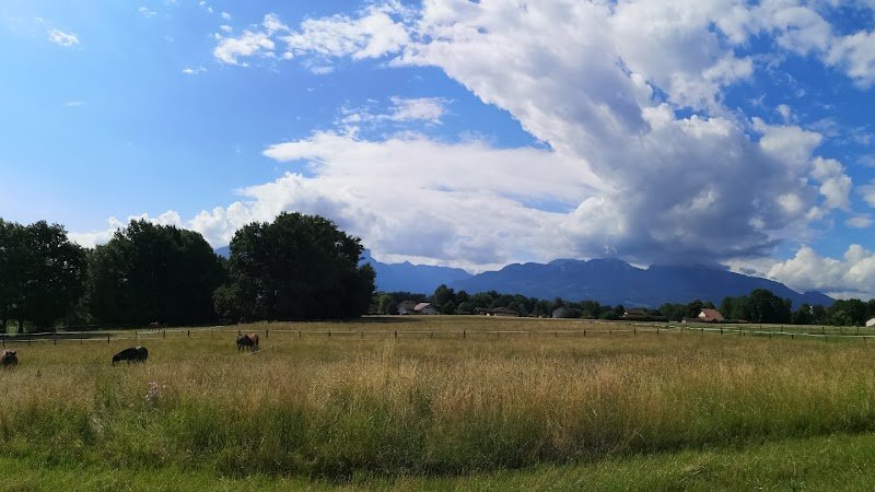 Les écuries de la dame d'haute-savoie - photo 1