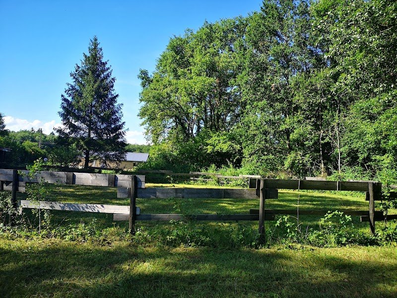 Les écuries de la dame d'haute-savoie - photo 2