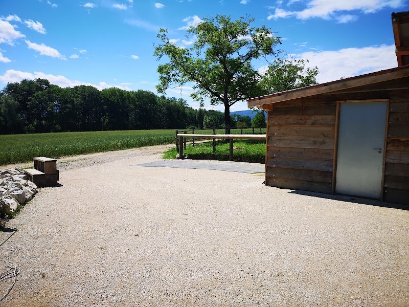 Les écuries de la dame d'haute-savoie - photo 3