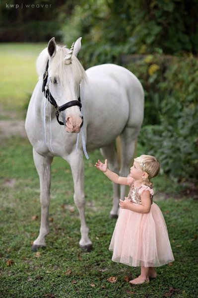 Chasse au Trésor à Dos de Poney Lac d'Aiguebelette - photo 2