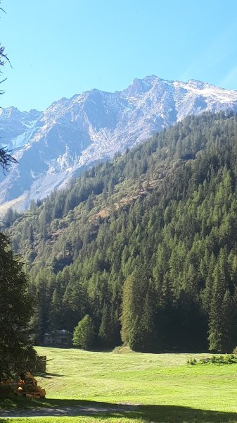 Bar Le Fer à Cheval - photo 3