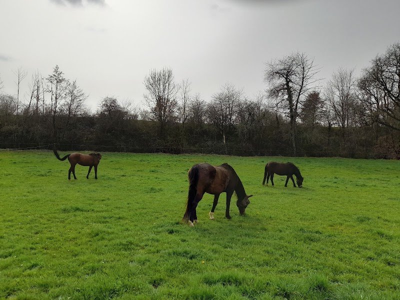 EIRL Les Ecuries d'Accroche-Coeur - photo 2