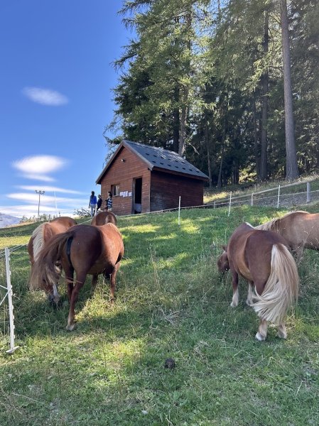 Centre équestre d'été de La Norma - photo 3