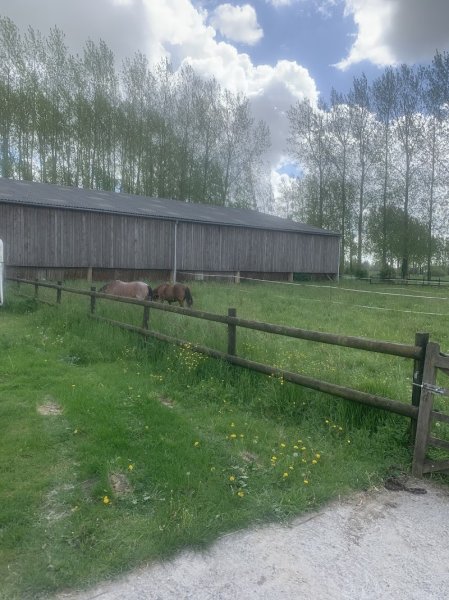 Ecuries de la Croix Saint Nicolas - photo 3