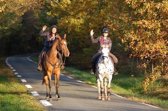 Ecurie Pandora - photo 3