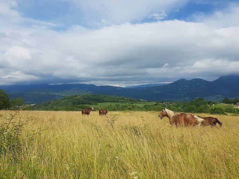 Écuries des Rives de la Tour