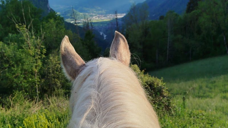 Les chevaux de la diamanterie - photo 1