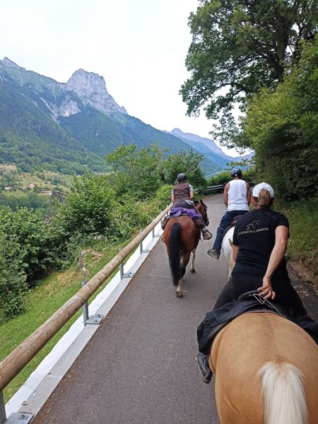 Les chevaux de la diamanterie - photo 2