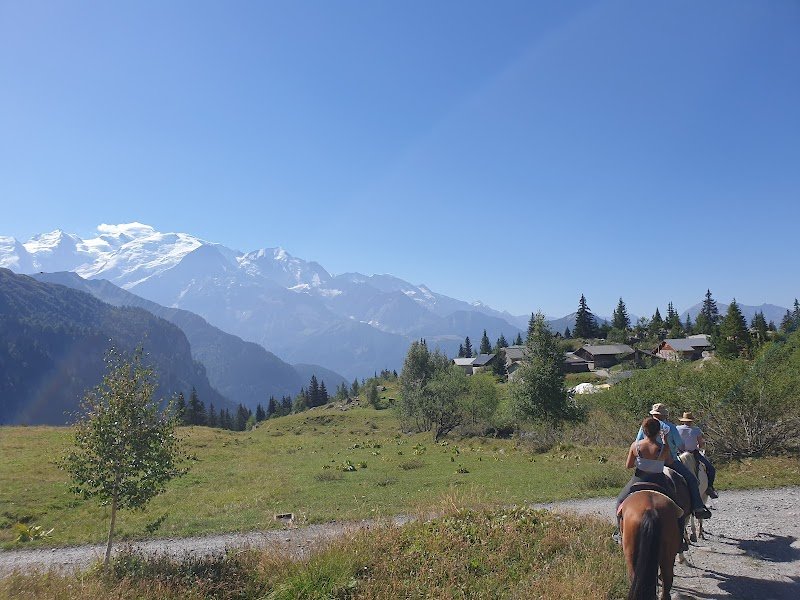 Les écuries d'antan - photo 1