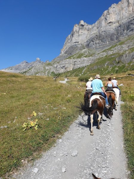 Les écuries d'antan - photo 2