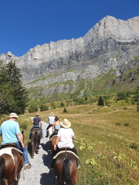 Les écuries d'antan - photo 3