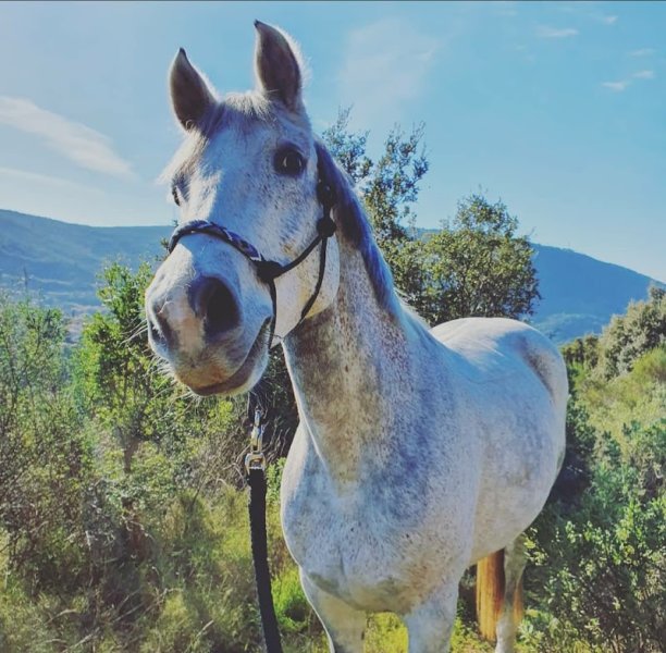 Écurie de Laghet - photo 1