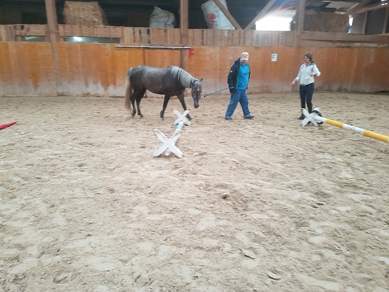 Centre Equestre du Plan - photo 1