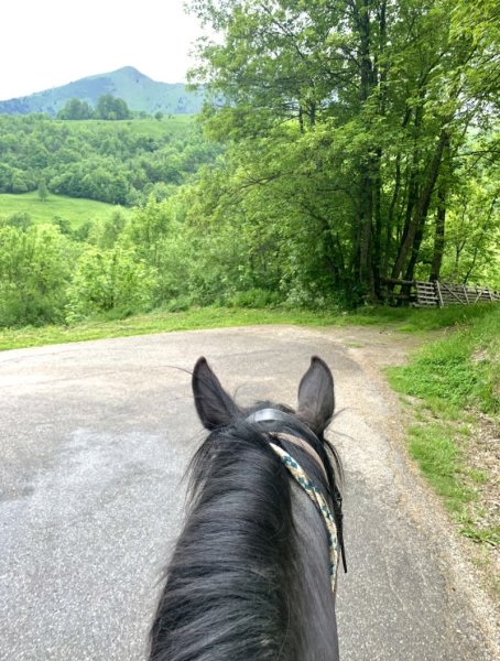 Centre équestre Les cavaliers des Arves - photo 2