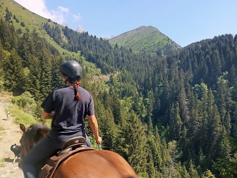 Les Crins Sauvages Centre Equestre - photo 1