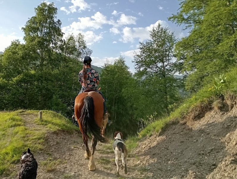 Les Crins Sauvages Centre Equestre - photo 2