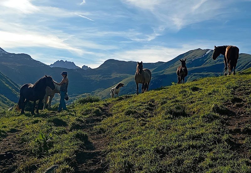 Les Crins Sauvages Centre Equestre - photo 3