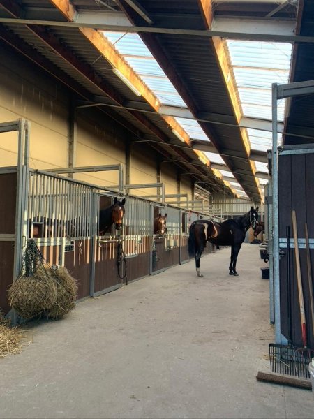 Écurie Saint Martin - photo 3