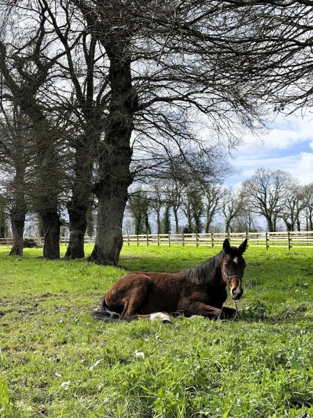 ECURIE AGCT - photo 2