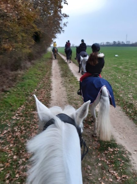 Écuries de Milsay - photo 2