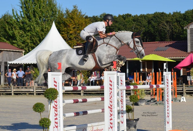 Écuries de Milsay - photo 3