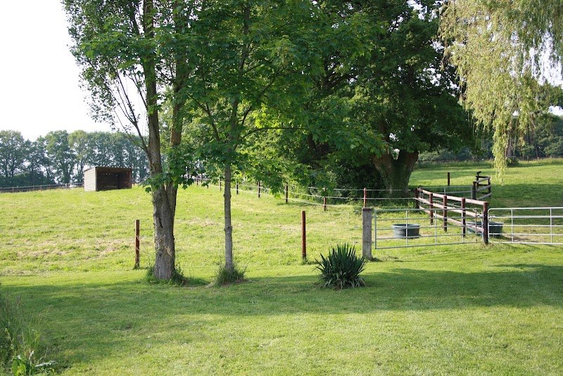 Écurie Active pension équine - photo 2