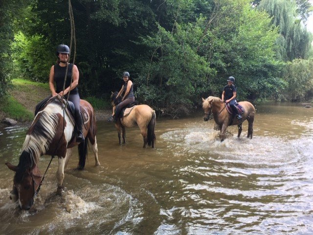 Écurie Active pension équine - photo 3
