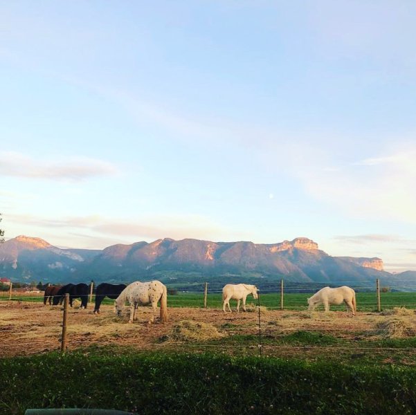 Les Ecuries des Rosay