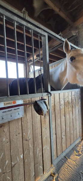 Les Ecuries des Rosay - photo 3