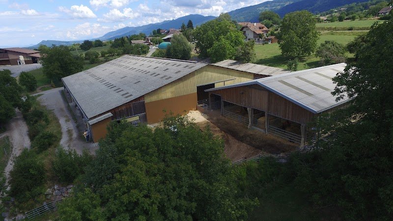 Charmot Quarter Horse - photo 1