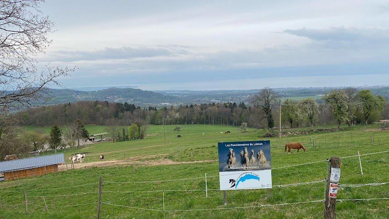 Détraz Denis Les Pensionnaires Du Leman