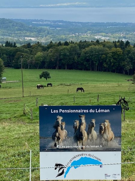 Détraz Denis Les Pensionnaires Du Leman - photo 2