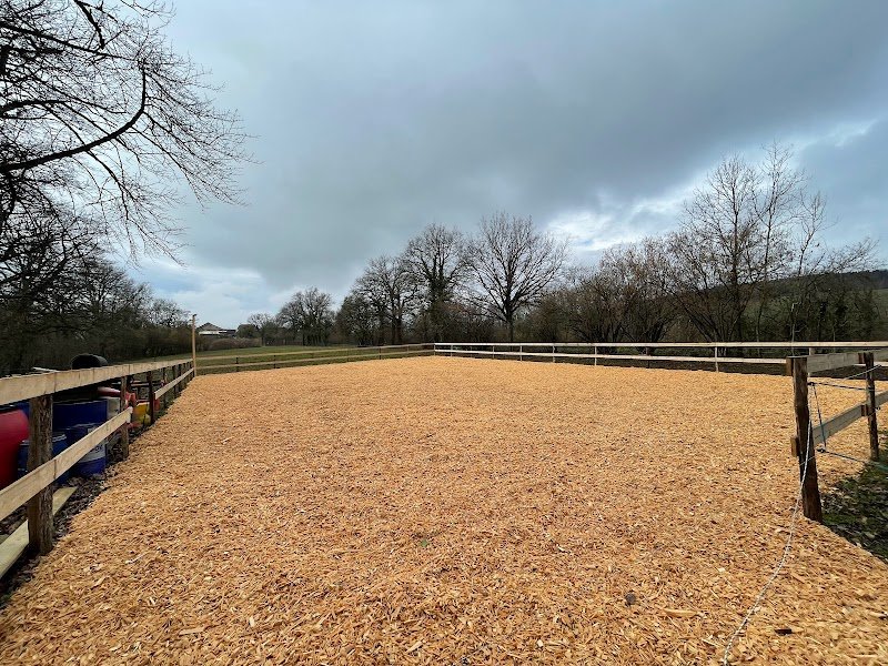 Pension des Châteaux by Marlène Colin - photo 1