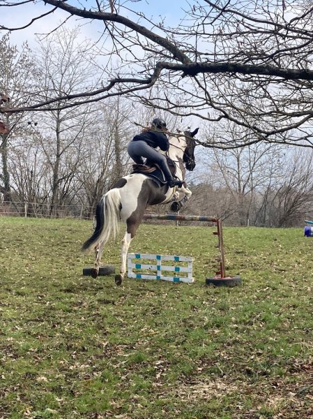 Pension des Châteaux by Marlène Colin - photo 2