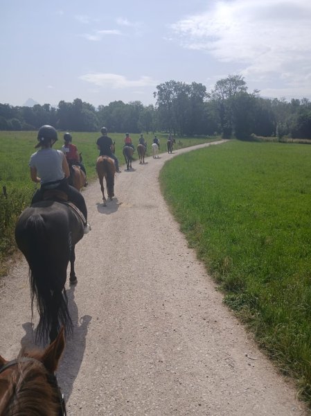 Ecurie du Gavot - photo 2