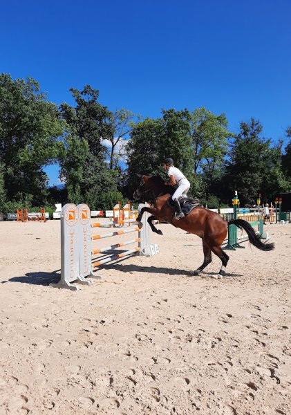 Écuries du Léman - photo 1