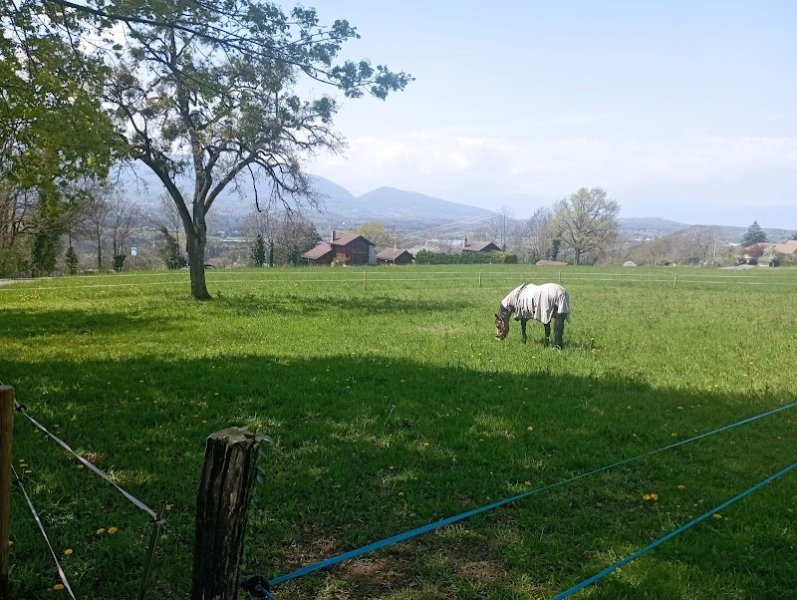 Les écuries Peillex - photo 1