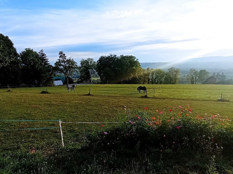 Les écuries Peillex - photo 2