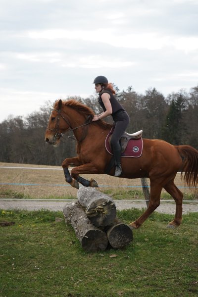 Centre Equestre Le Domino GAEC - photo 2