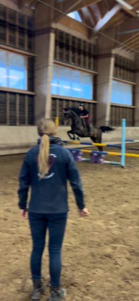 ECURIE DES DEUX COEURS - photo 1