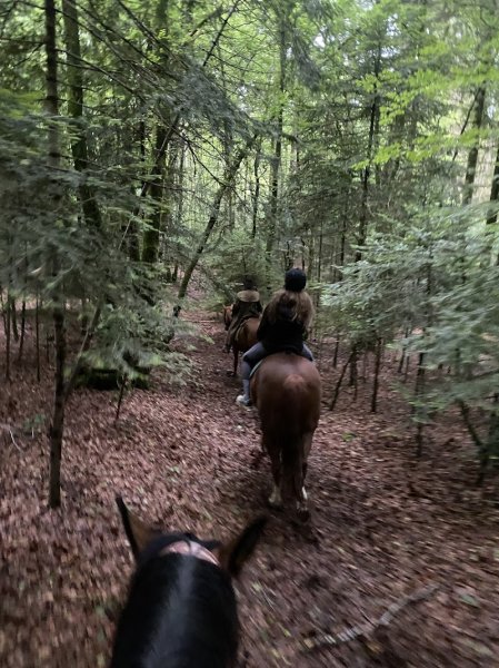 Ranch equestre equitation - photo 2