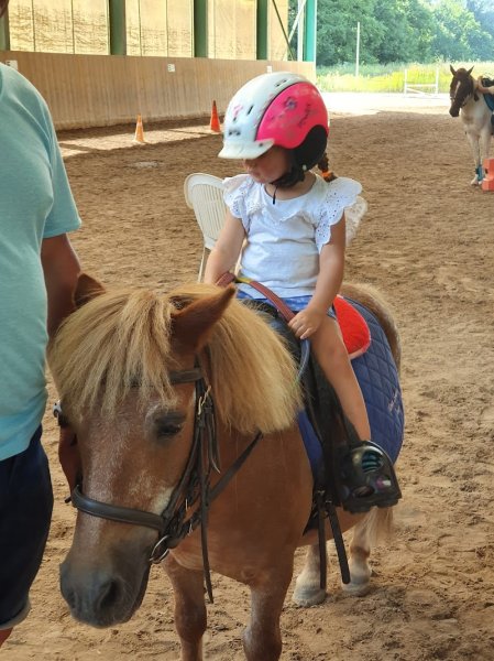 Écuries des Frênes - photo 2