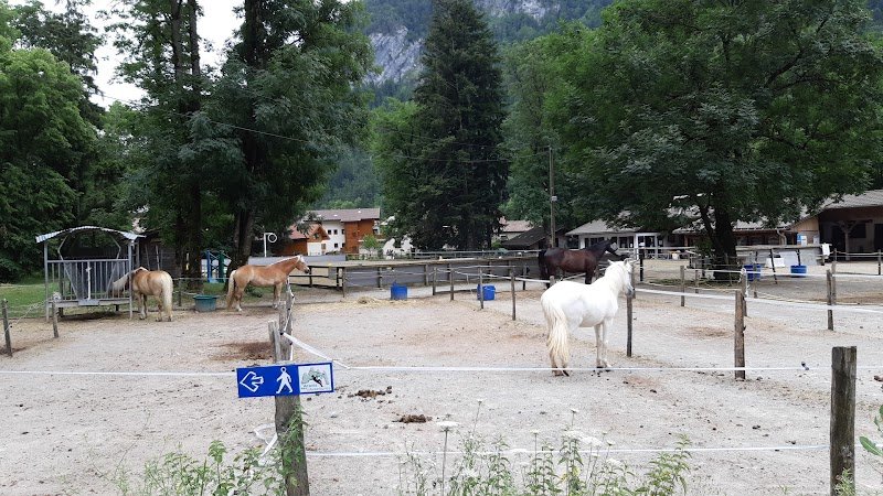Centre Équestre de Thônes - photo 2