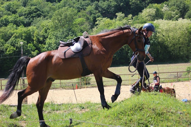 Les Amazones Ecurie Active - photo 1