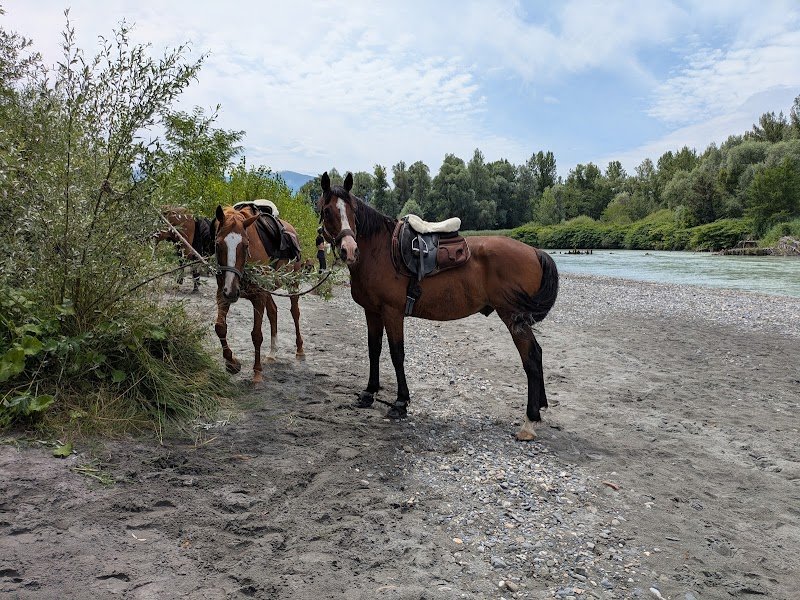 Les Amazones Ecurie Active - photo 2