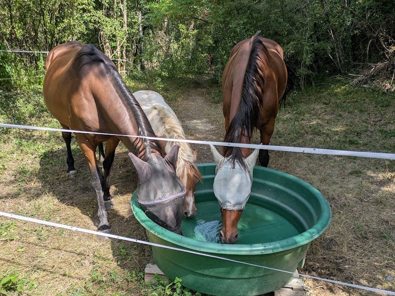 Les Amazones Ecurie Active - photo 3